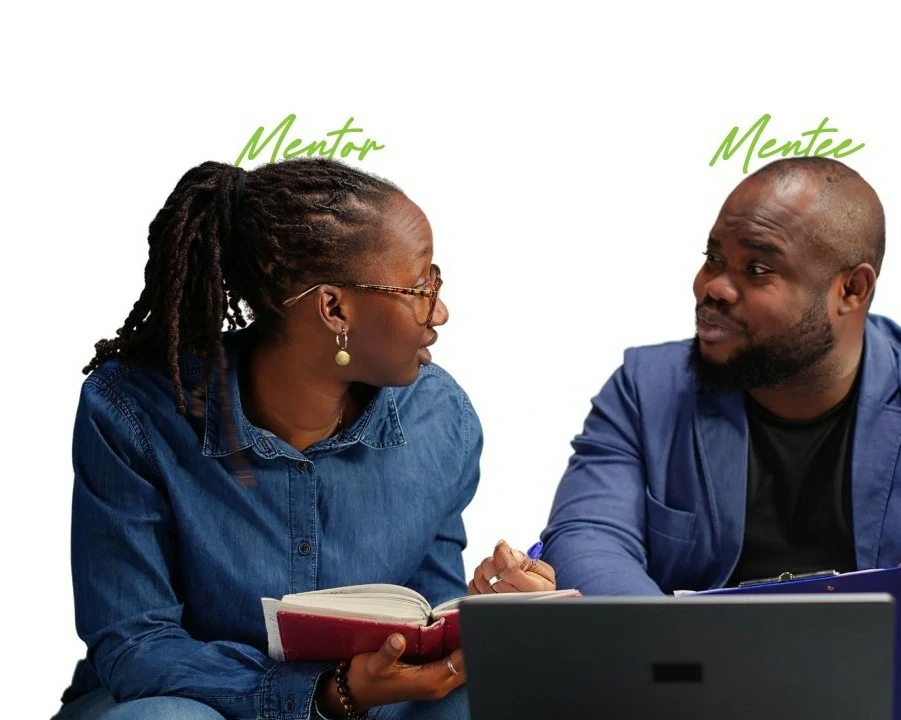 Mentorship in technology education