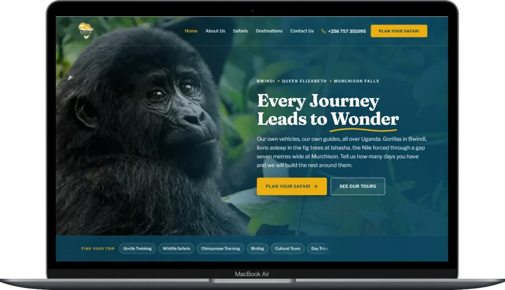 Cesta Africa Safaris