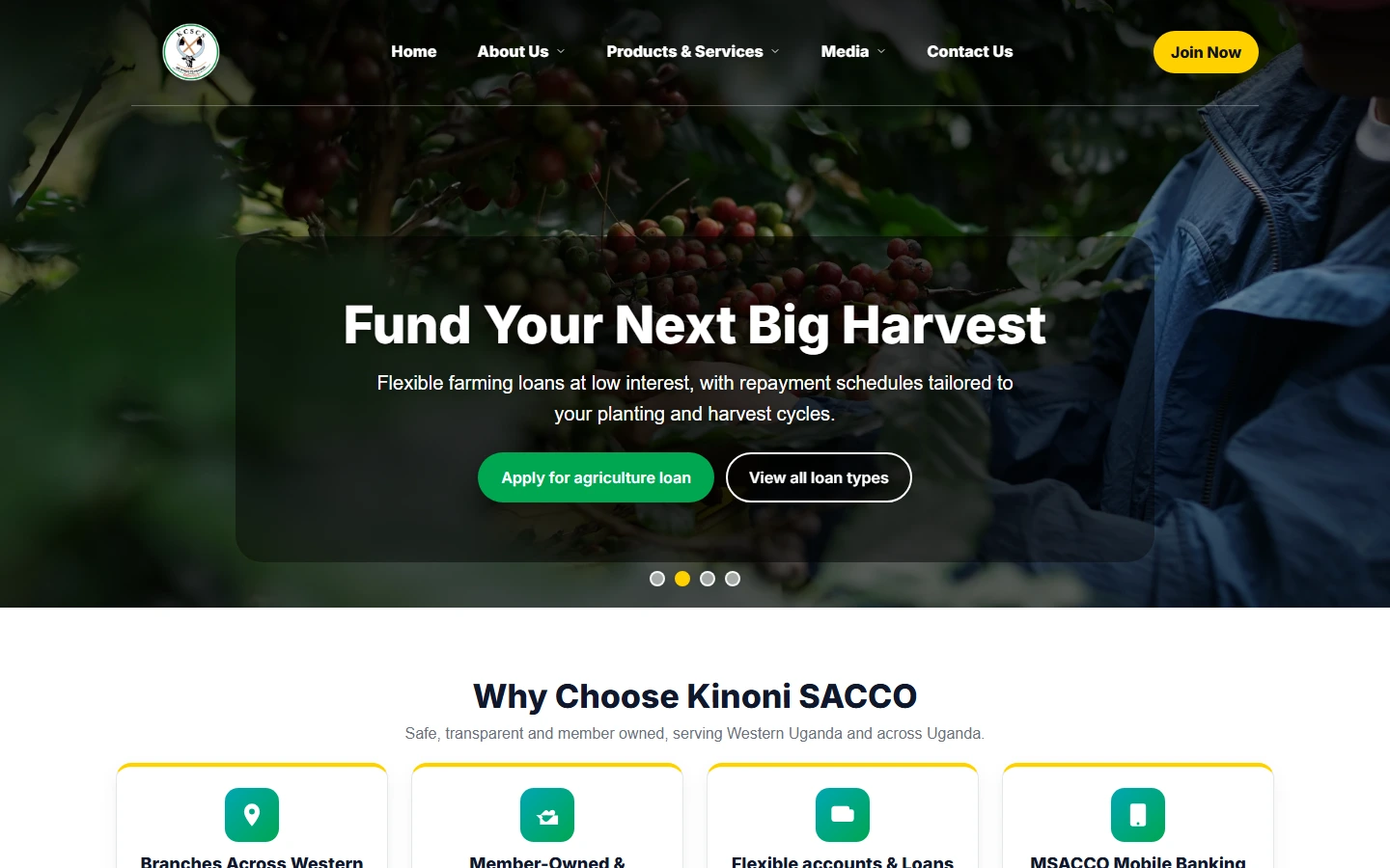 Kinoni sacco website desktop preview